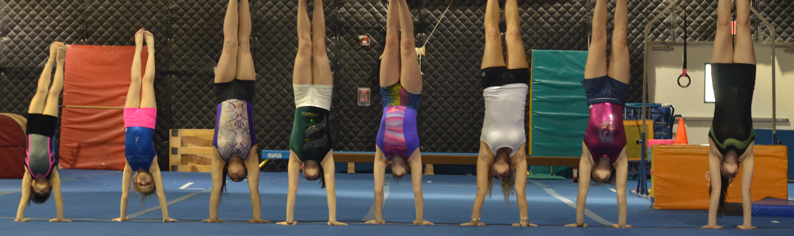 USAIGC Teams - competitive gymnastics team NYC